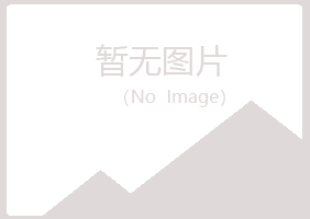 河池歪斜媒体有限公司